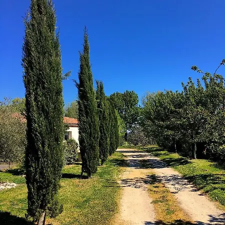 Villa - Bain Nordique Extérieur - Poêle Finlandais - Piscine - Gaillac Montans