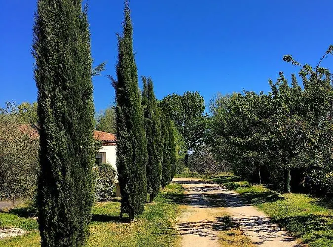 别墅 - Bain Nordique Exterieur - Poele Finlandais - Piscine - Gaillac Montans