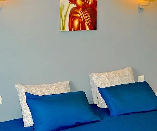 - Bain Nordique Exterieur - Poele Finlandais - Piscine - Gaillac * Montans